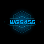 WGS456 game
